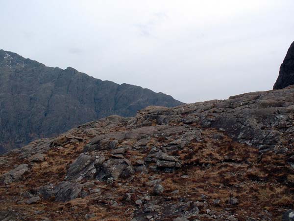 DSCF0931