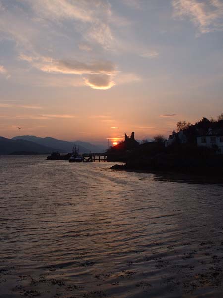 DSCF0966