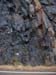 DSCF0796
