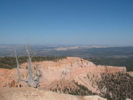 DSCF0139