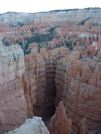 DSCF0184