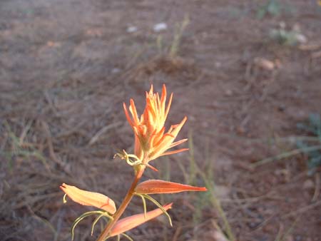 DSCF0248