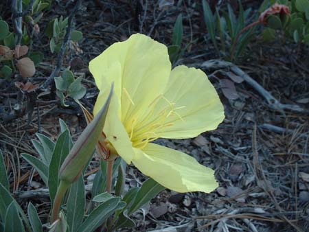 DSCF0250