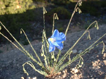 DSCF0279