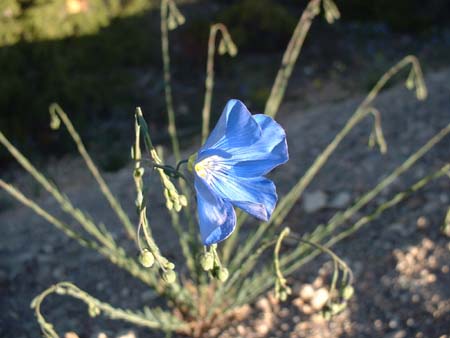 DSCF0281