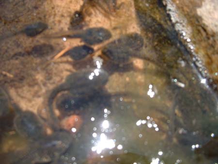 DSCF0354
