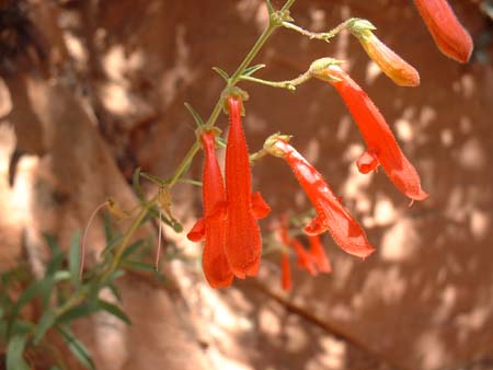DSCF0356