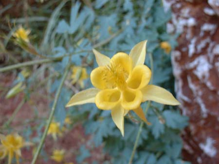 DSCF0358