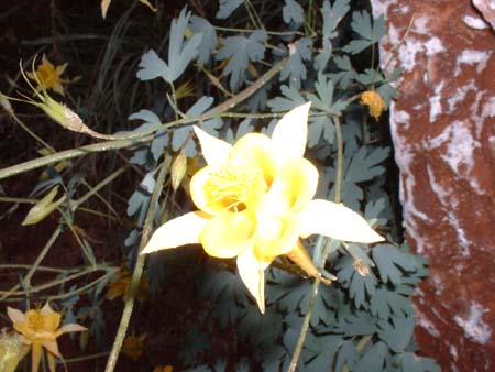 DSCF0359