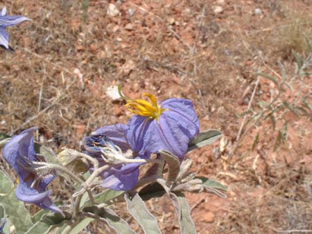 DSCF0371