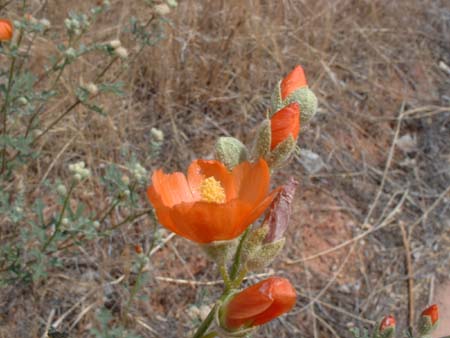 DSCF0377