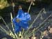 DSCF0280