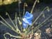 DSCF0281