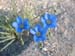 DSCF0282