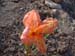 DSCF0307