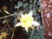 DSCF0359