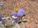DSCF0370