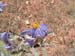 DSCF0371
