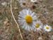 DSCF0372