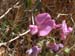 DSCF0374