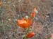 DSCF0377